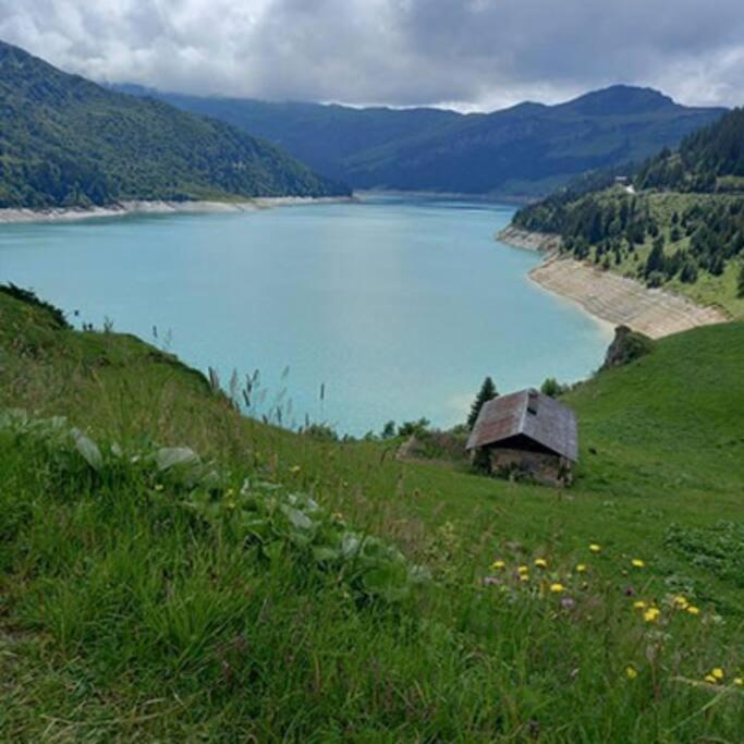 L'Appartement Les Bossons En Lisiere De Foret Dans Le Chalet Genepi Arêches Eksteriør bilde