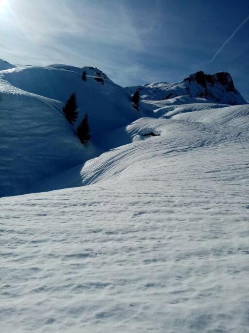 L'Appartement Les Bossons En Lisiere De Foret Dans Le Chalet Genepi Arêches Eksteriør bilde