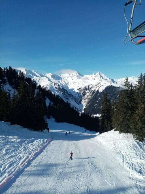 L'Appartement Les Bossons En Lisiere De Foret Dans Le Chalet Genepi Arêches Eksteriør bilde